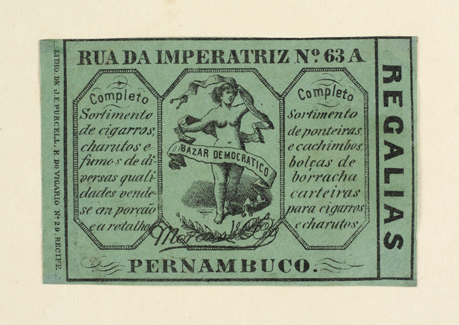 vizualizar o documento on line